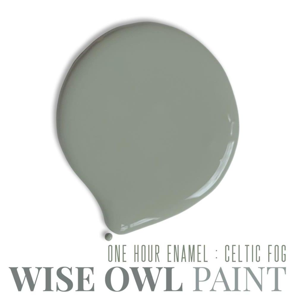 Wise Owl One Hour Enamel - Celtic Fog