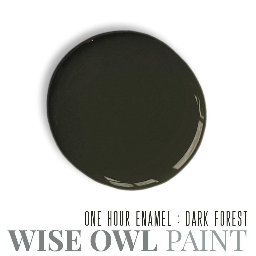 Wise Owl One Hour Enamel - Dark Forest