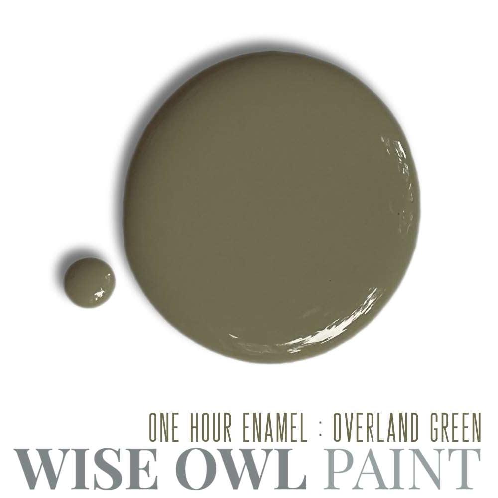 Wise Owl One Hour Enamel - Overland Green